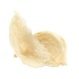 燕窝
Bird Nest